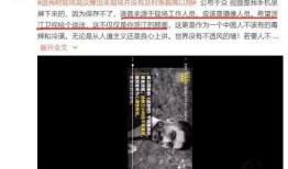 成毅爆料最新视频播放时间,揭秘幕后故事，独家放送时间大揭秘！