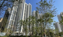 达州市碧桂园爆料最新消息,揭秘项目进展与周边配套