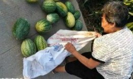 学校天台瓜最新爆料,独家爆料带你走进校园八卦风云”