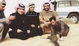 卡塔尔王子爆料最新消息,揭秘中东权力斗争背后惊人内幕