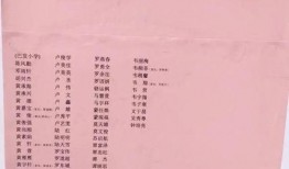 白姓爆料快讯最新,揭秘娱乐圈最新猛料，真相令人震惊！