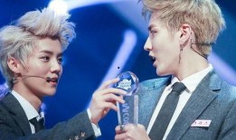 鹿晗和吴亦凡最新爆料,揭秘娱乐圈背后的真相与争议！